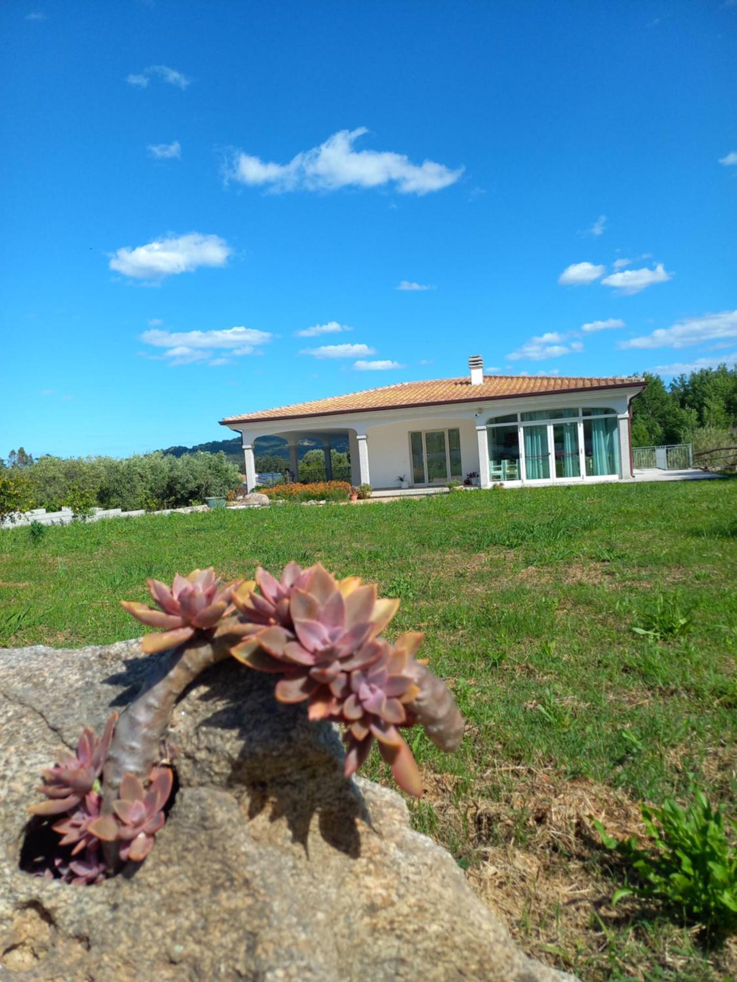 Agriturismo B&B Mares E Montes De Marrante سينيسكولا المظهر الخارجي الصورة