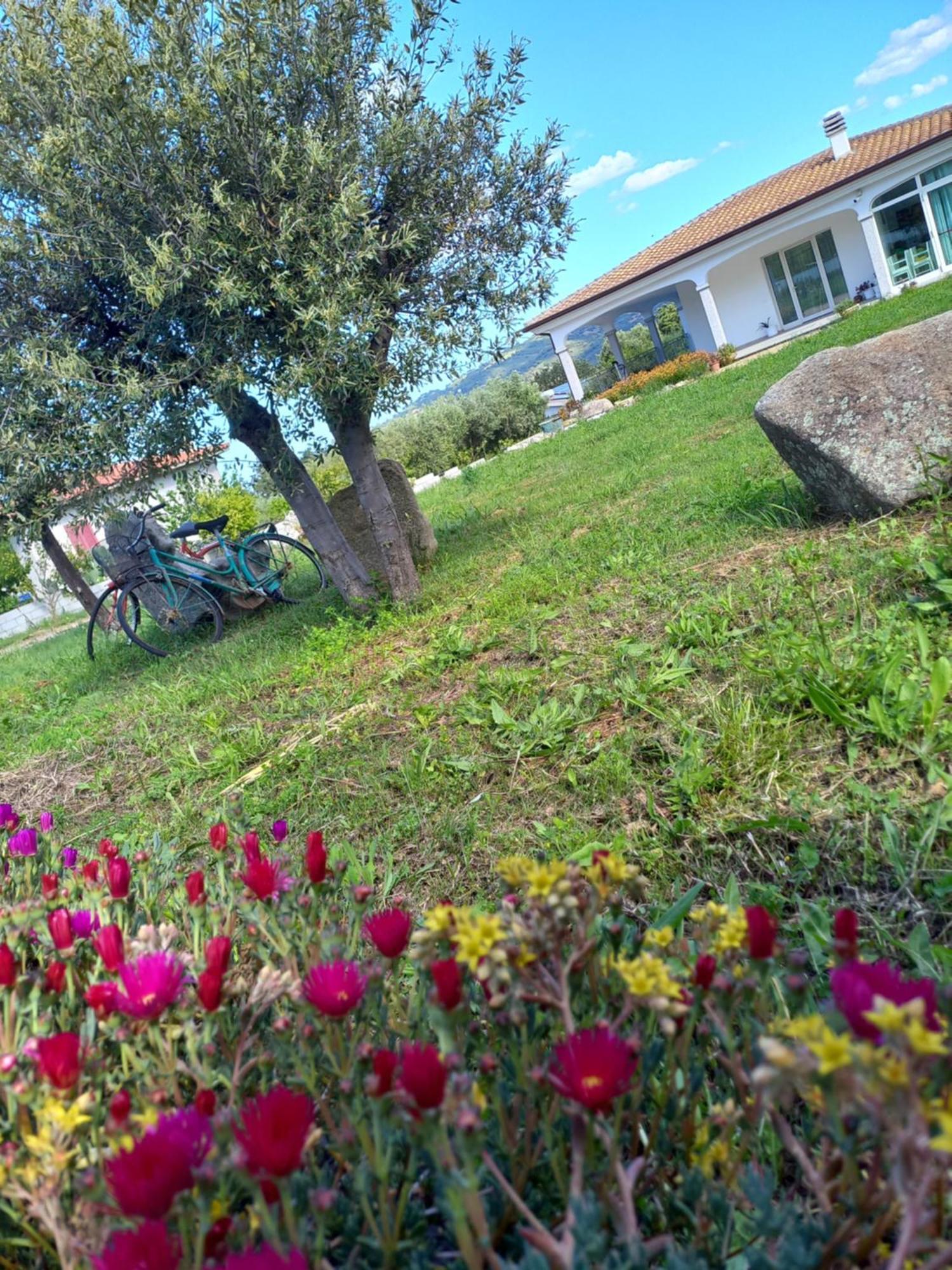 Agriturismo B&B Mares E Montes De Marrante سينيسكولا المظهر الخارجي الصورة
